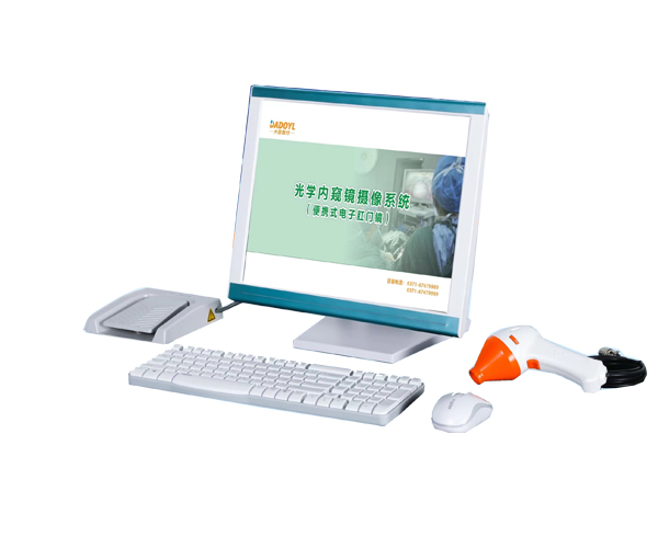 便攜式電子肛門(mén)鏡 DD-100型